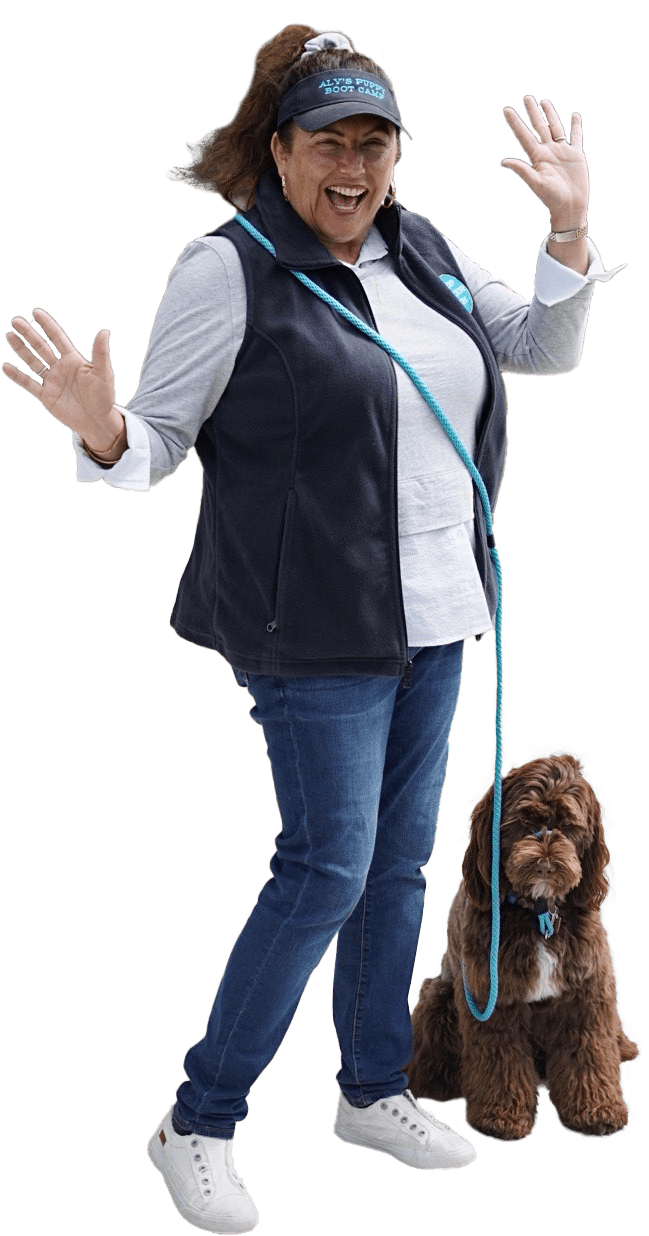 Good Walker Hands Free Leash