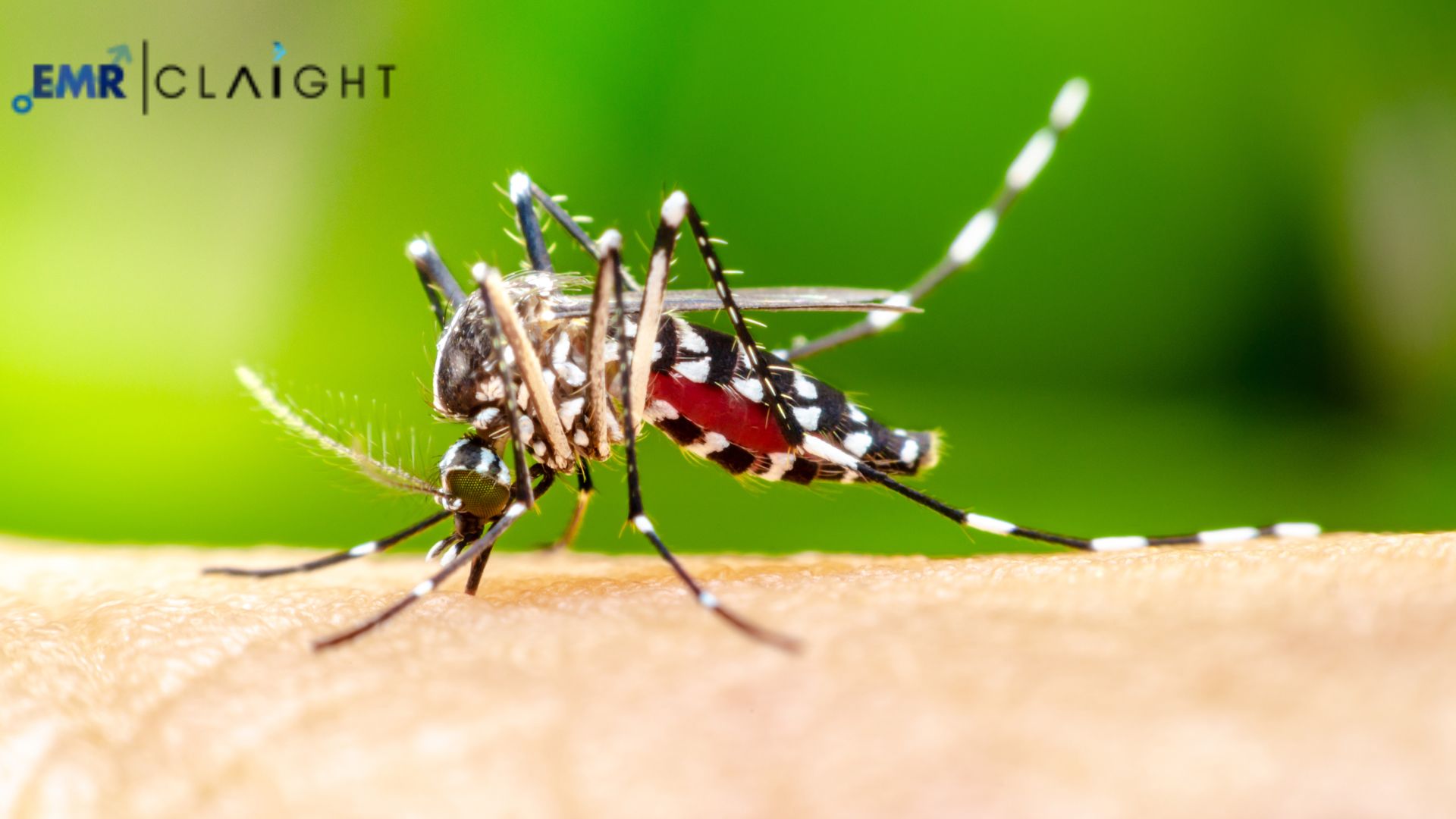 JE (Japanese Encephalitis) Vaccine Market