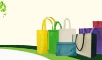Custom Non Woven Bags