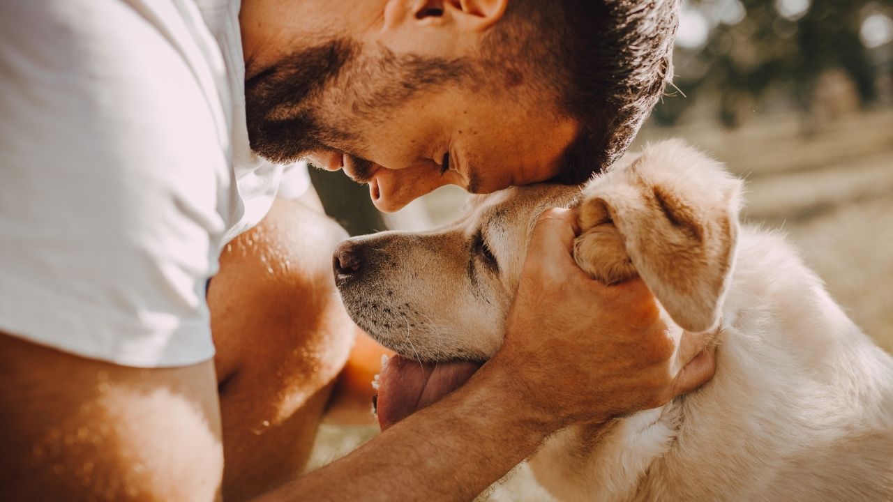 dog hospice