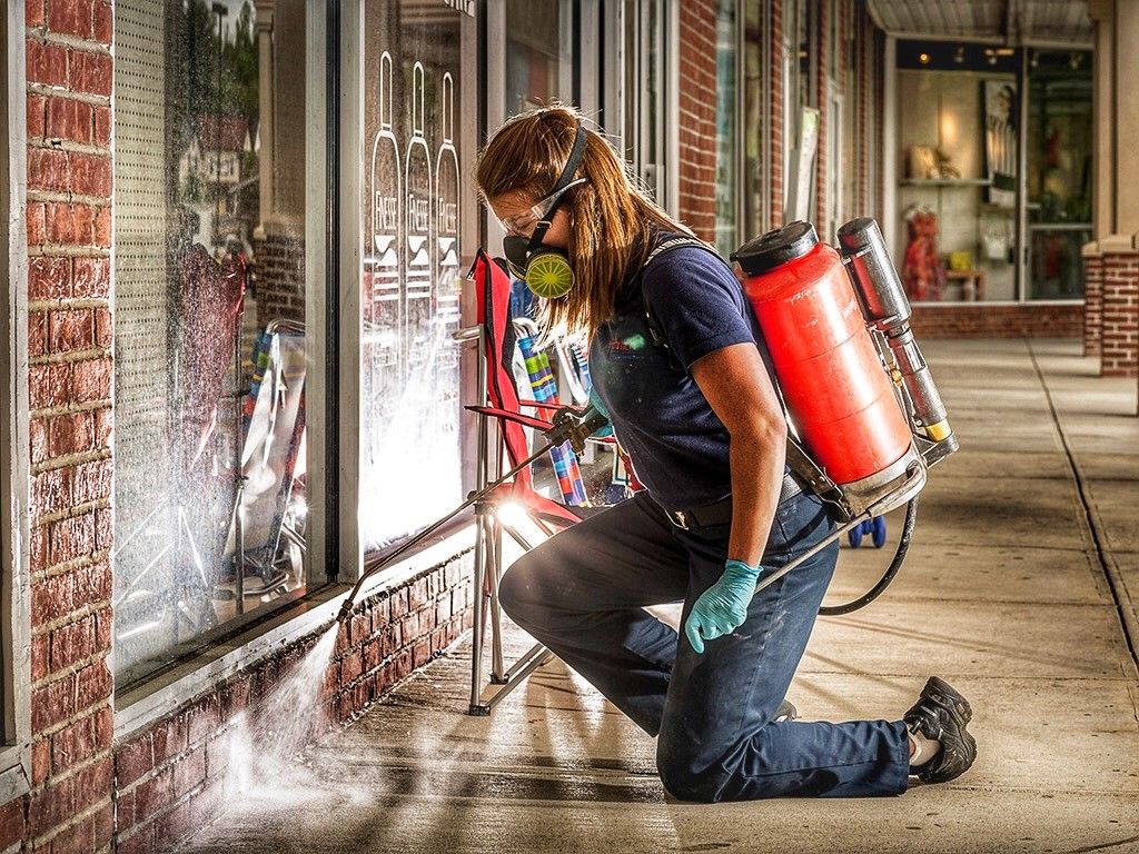 Carpet-beetle-control-south-floral-park