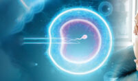 IVF Procedure in Bangalore