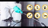 pest-control-london