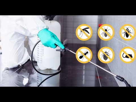 pest-control-london