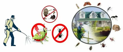 wasp-control-in-vancouver