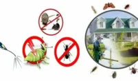 ant-control-Kitchener