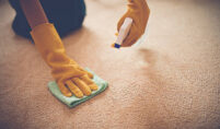 organic carpet cleaning