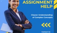 Business Assignment Help