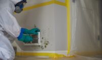 Discover the essential steps and considerations for mold remediation in Newport Beach to protect your home and health effectively.