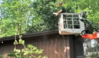 affordable tree cutting service
