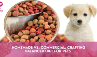 Homemade vs. Commercial Crafting Balanced Diet for Pets