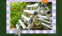 Hydroponics Market