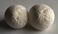 Lysine Hydrochloride Prices