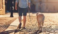 Dog Care Services West London