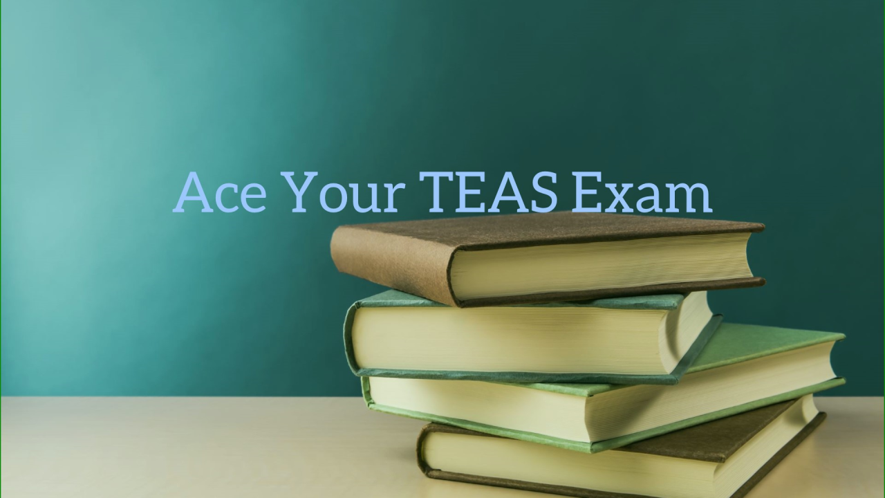 pay someone to take my teas exam