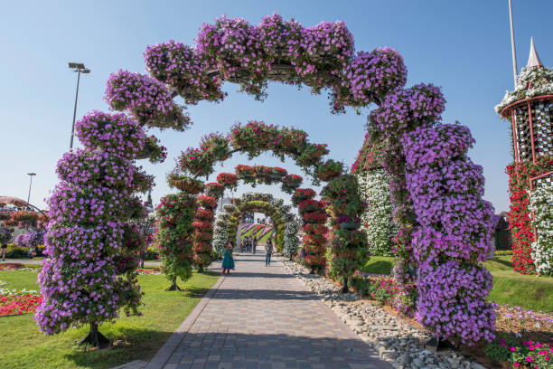 Miracle garden Dubai tickets