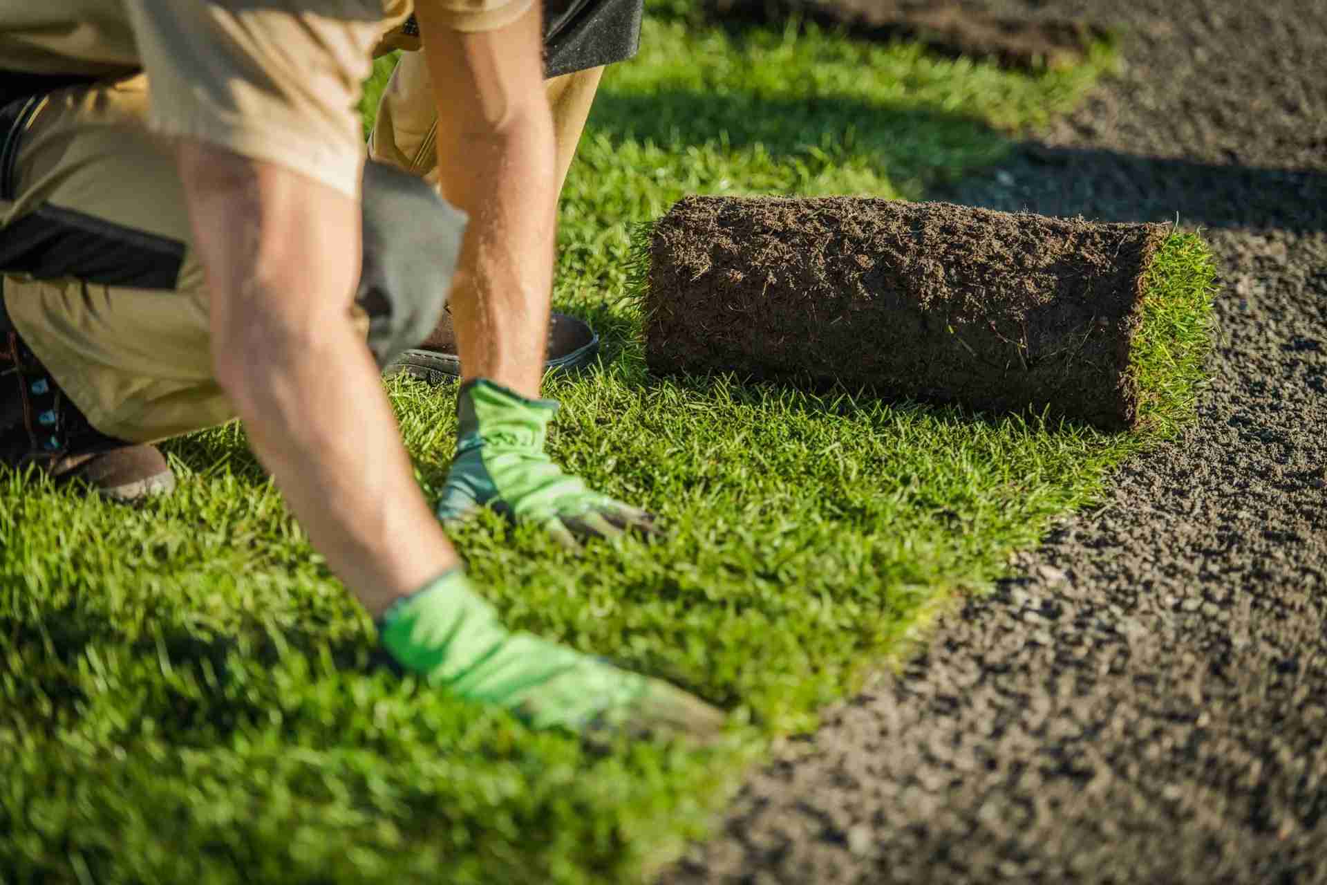 Synthetic turf