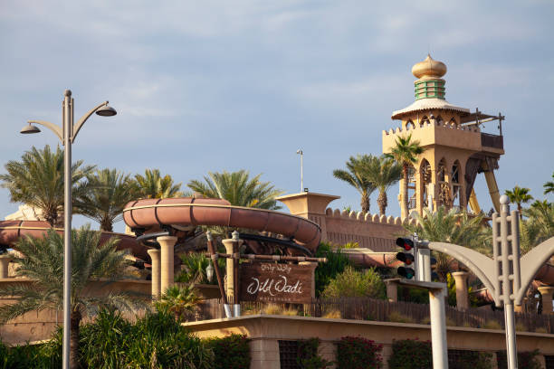 wild wadi water park dubai ticket