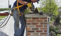 Chimney Animal Removal