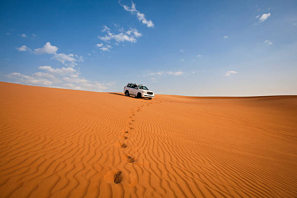 Evening Desert Safari in Dubai