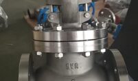 Globe Valve