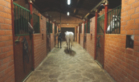 Barn Fly Spray System