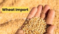Wheat Import