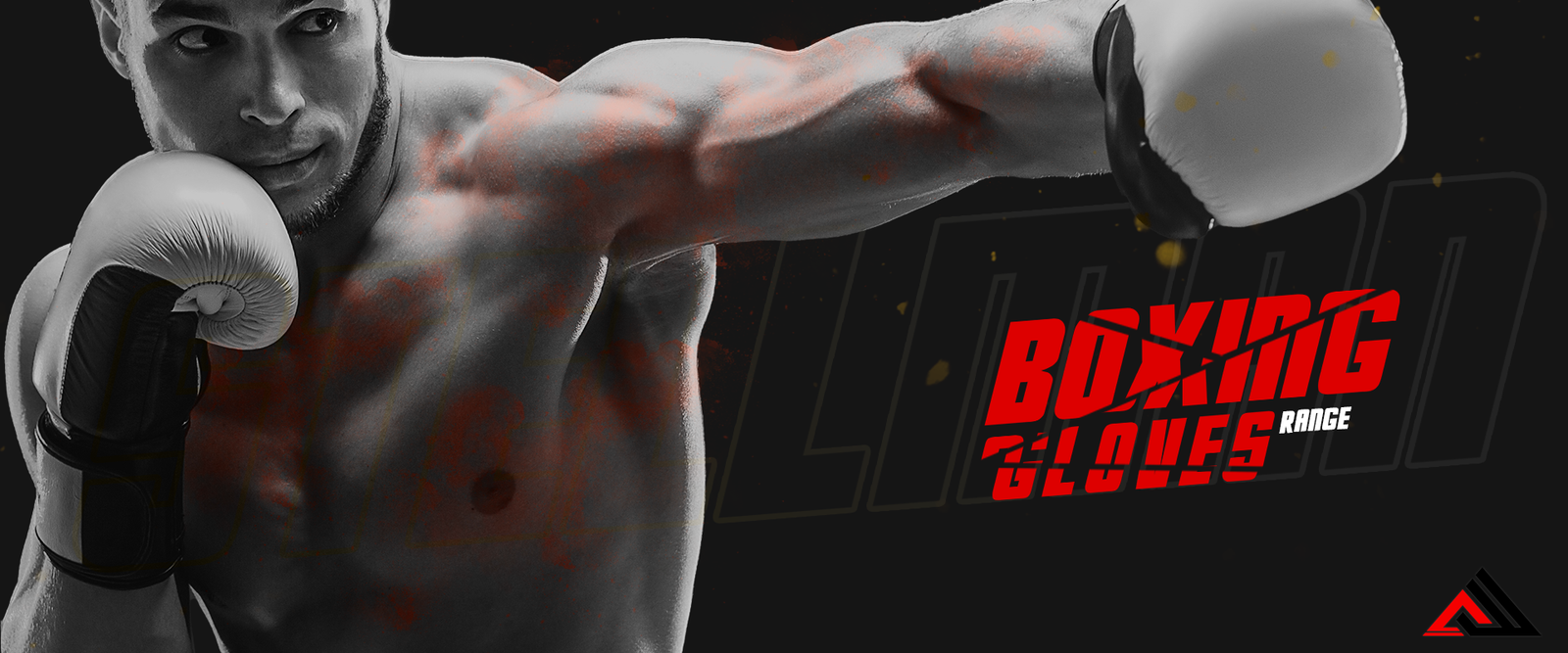 fighting sports gear