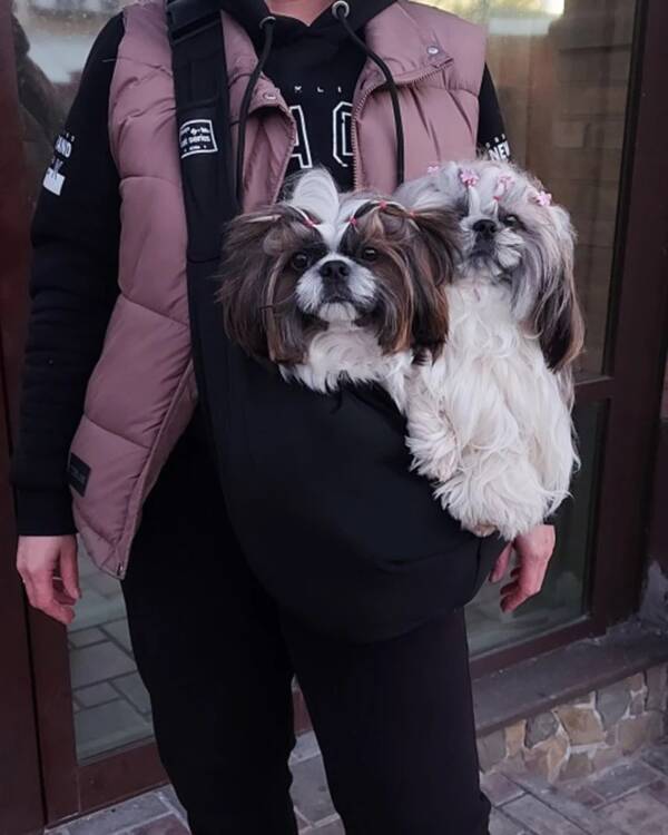 dog overnight bag