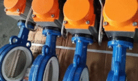 Pneumatic actuated butterfly valve