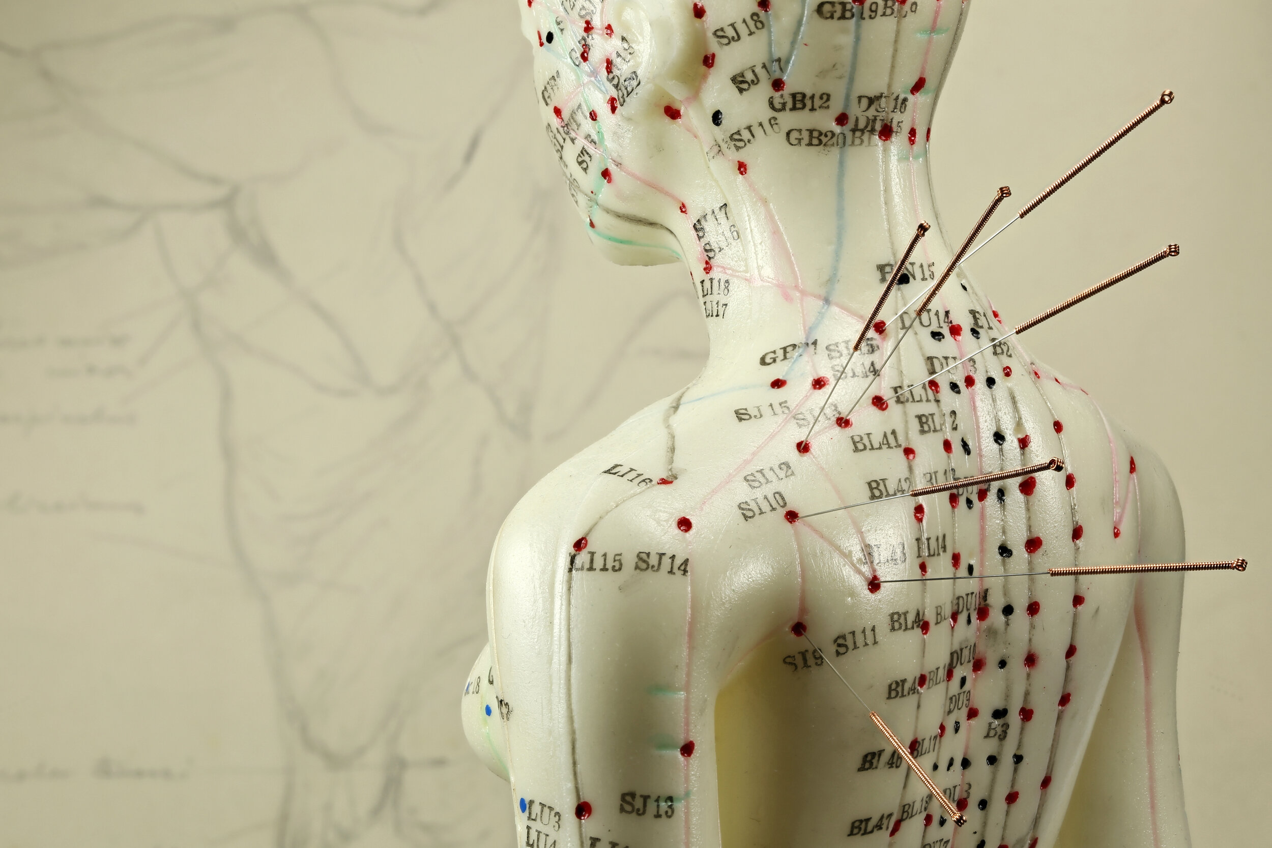 Natural Balance: Traditional Chinese Herbal Medicine