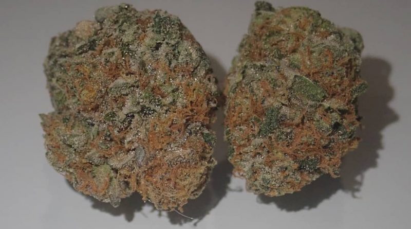 Black Zushi strain flavor