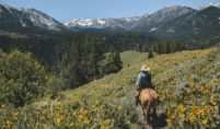 Horseback Trail Rides