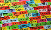 Language preservation as cultural reconciliation
