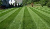 lawn-care-service-dallas-tx