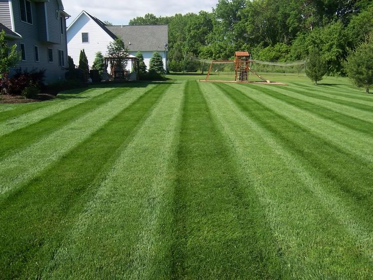 lawn-care-service-dallas-tx