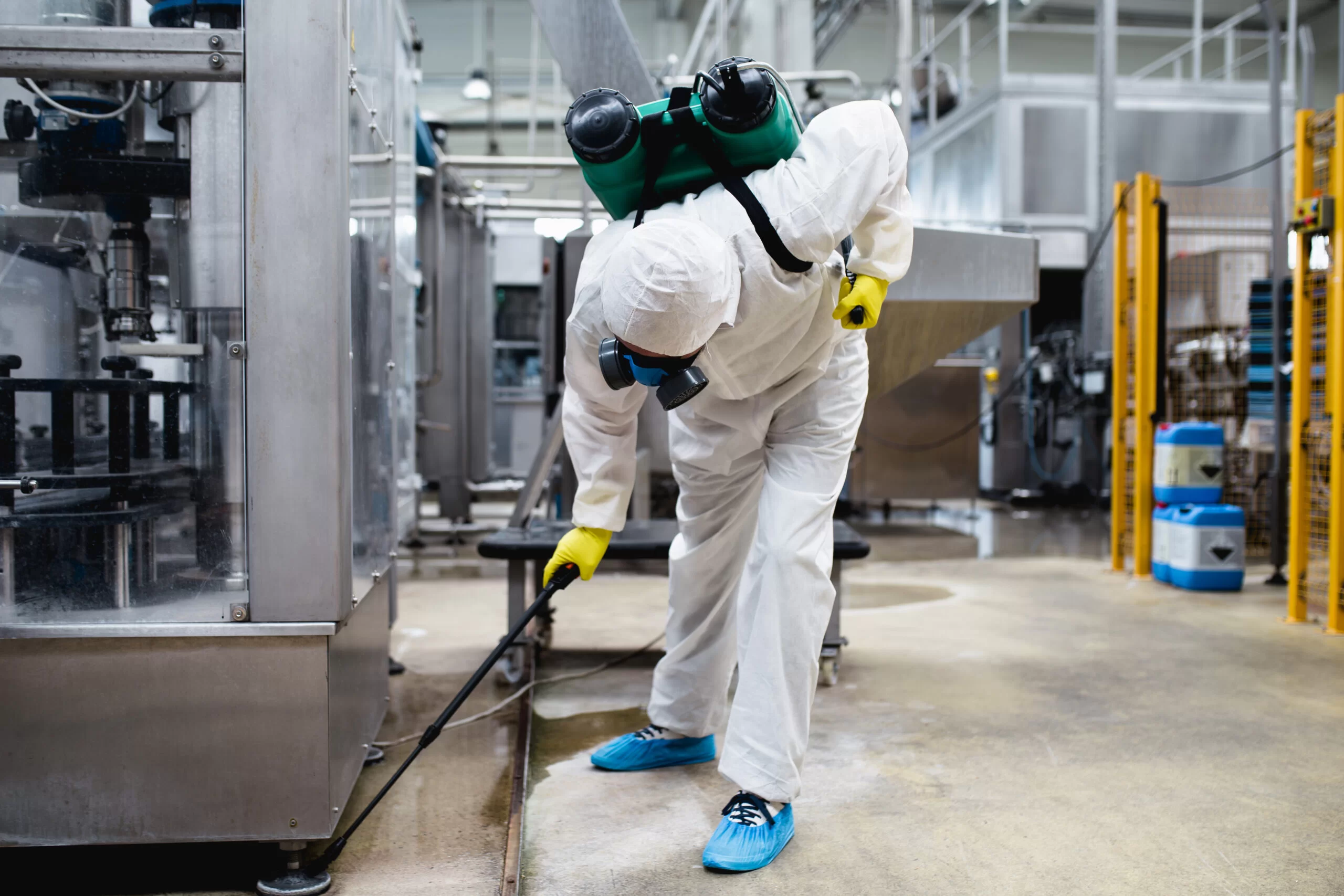 Pest Control Langley