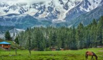 Pakistan Tours