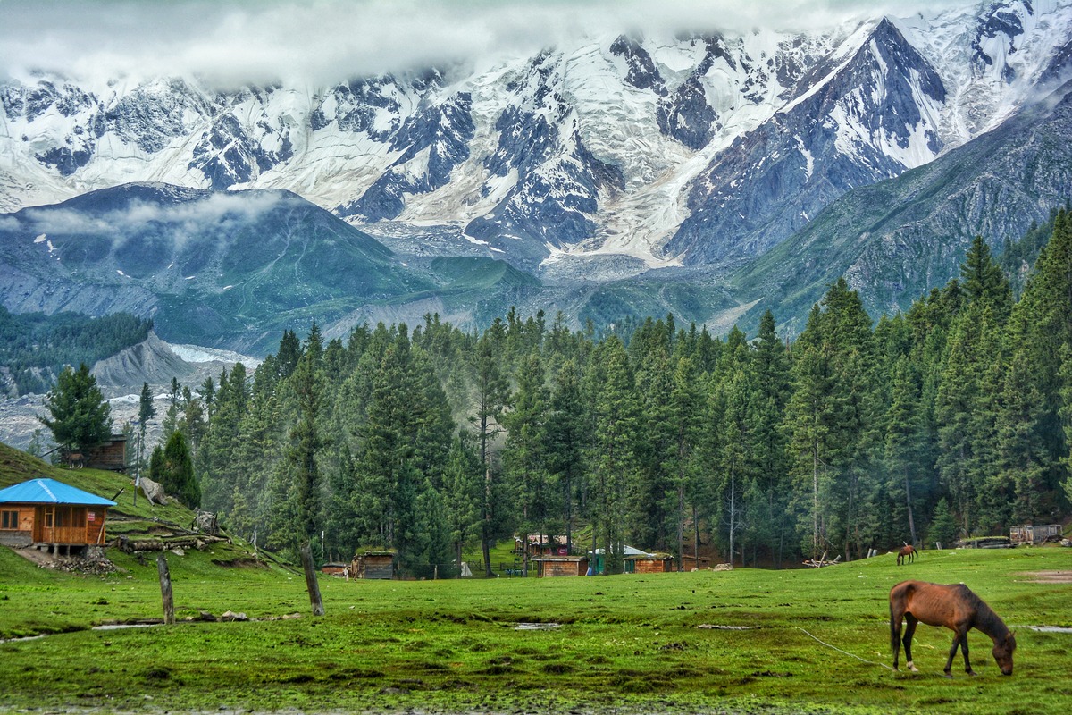Pakistan Tours