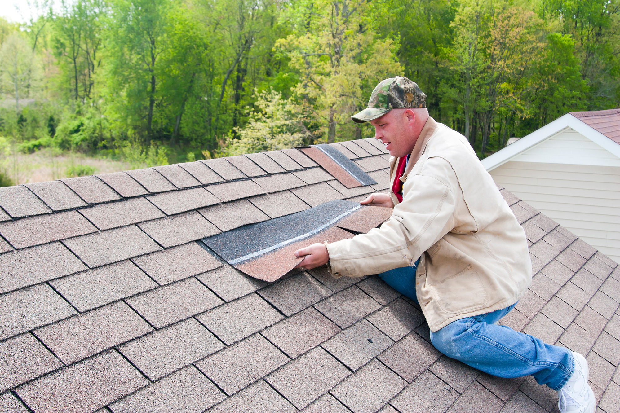 Shingle Roof Replacement