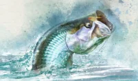 fly fishing watercolor