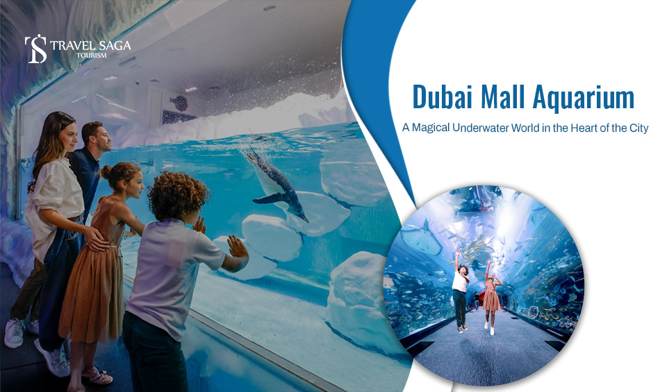 Dubai Mall Aquarium