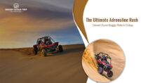 desert dune buggy ride