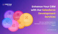Salesforce Development services