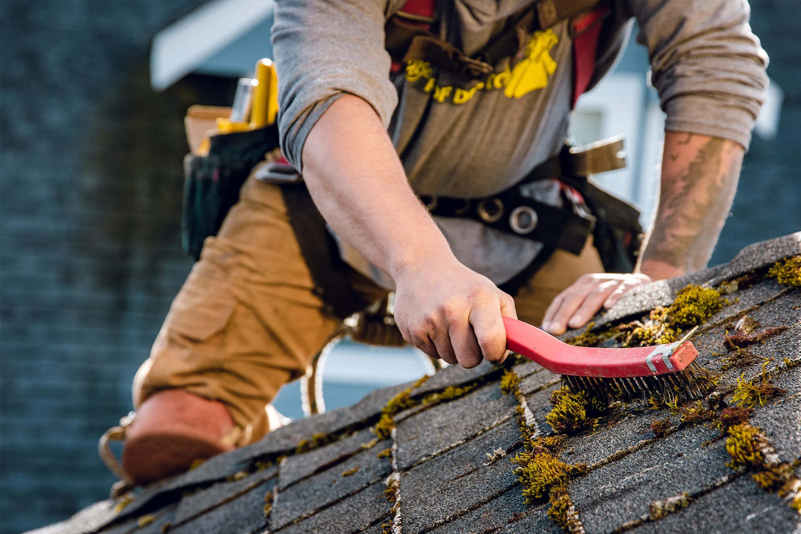 Roof Cleaning in fife
