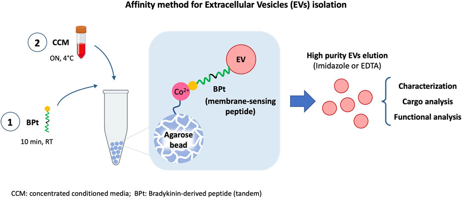 Agarose Particle Services