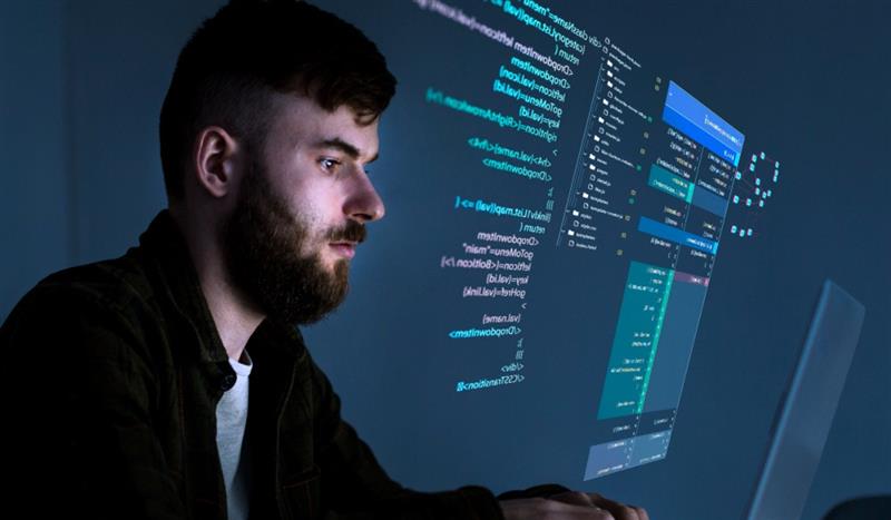 ms access developer
