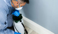 “Local pest control in Beith protecting a residential home from wasps, rodents, and insects.”