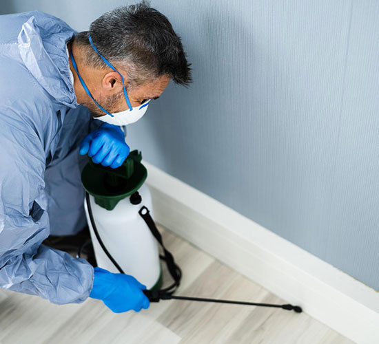 “Local pest control in Beith protecting a residential home from wasps, rodents, and insects.”