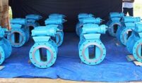 Plug Valve